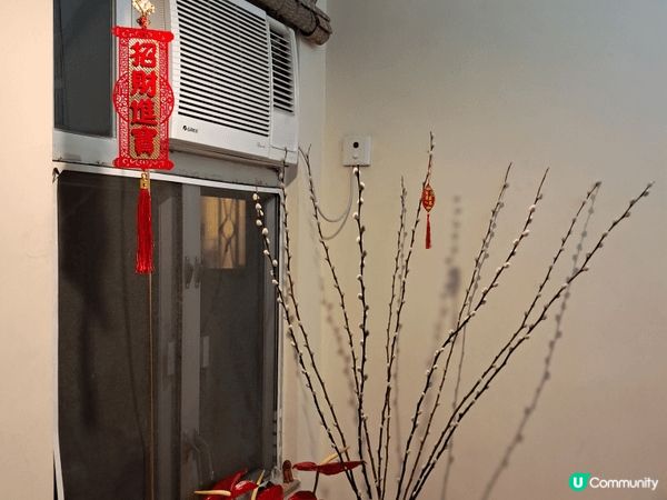 一年一度的農曆新年(馬年)又到了，家中已準備了農曆新年的裝飾...
