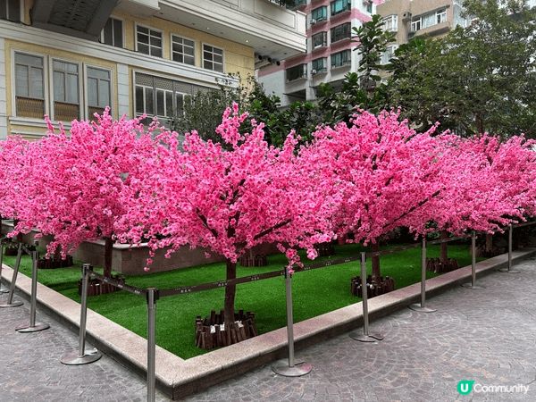 每年農曆新年利東街都好有年味,今年也不利外,門口先有巨大嘅｢...