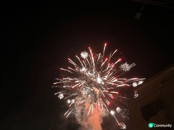 每年新年，都會返鄉下同家人一齊團聚，因為每年先至會見嫲嫲一次...