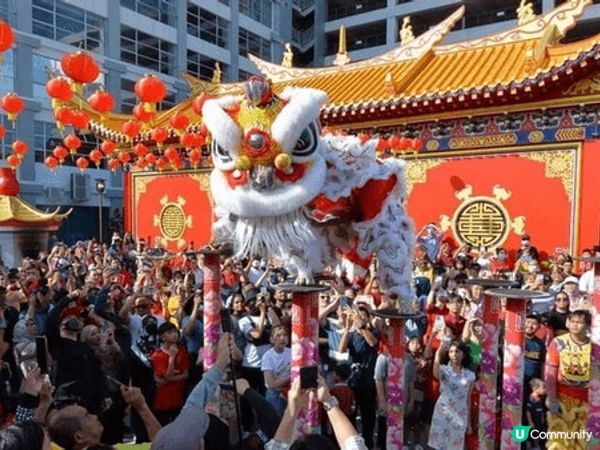 農曆新年必看舞獅，黃大仙廟，林村許願樹，食賀年糕點