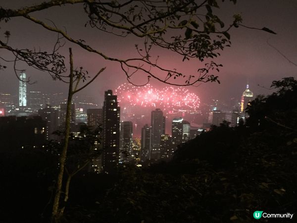 每年家庭團拜都一定會切鴻運乳豬仔，象徵新一年發過豬頭🐽。下午...