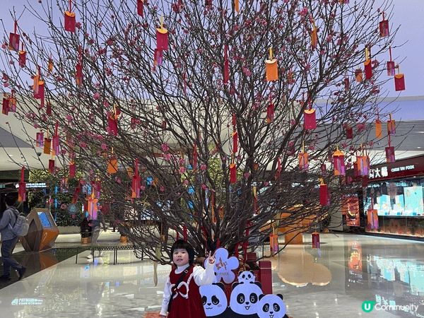 小朋友見到新年佈置特別興奮，著上喜慶既衣服過新年。#糕興過肥...