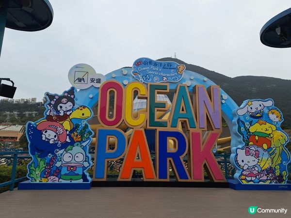農曆新年可以去ocean park打卡, 今年有sanrio...