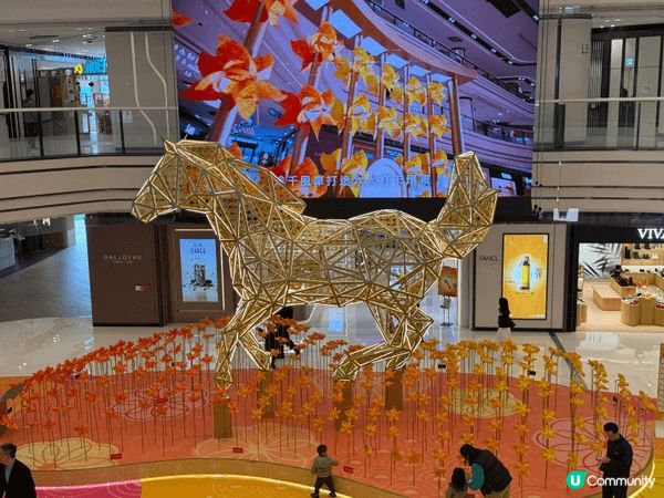 大圍圍方「大圍生活節2026」超適合帶小朋友嚟打卡！🎉🐎✨...