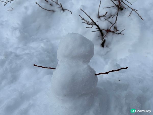 岩岩去完溫哥華過聖誕，當地非常之chill，每一個地方都係打...