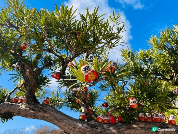 大阪市區景點已經去到悶?我推薦大家到郊外箕面市的勝尾寺，無論...