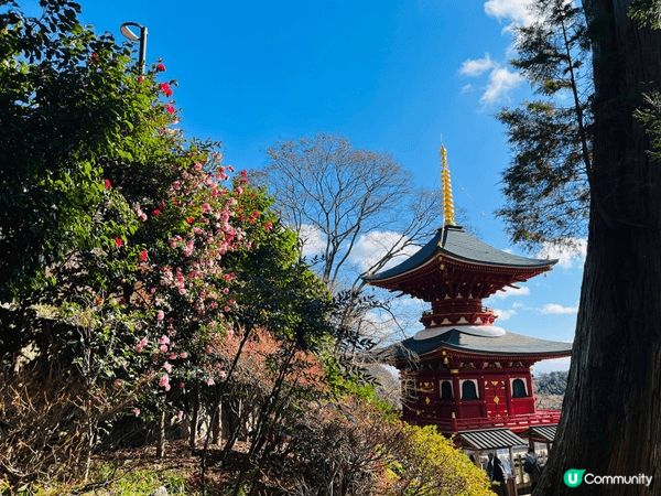 大阪市區景點已經去到悶?我推薦大家到郊外箕面市的勝尾寺，無論...