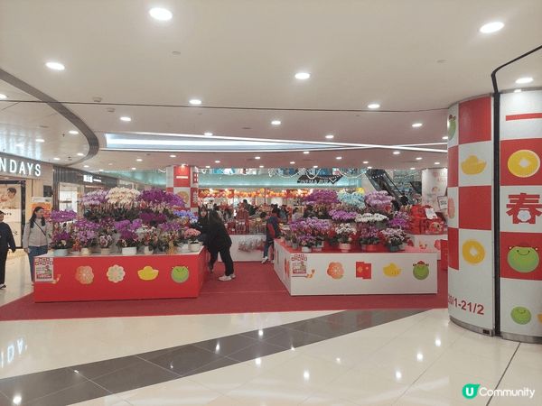 農曆新年將至，當然要添置賀年食品，迎接馬年。荃灣廣場舉辦了賀...