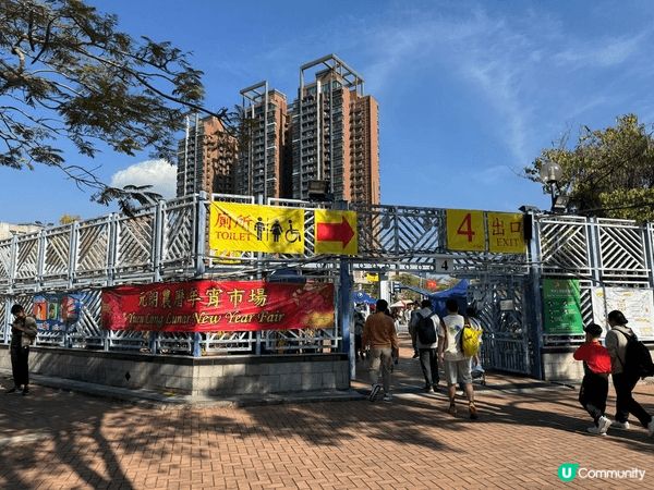 新年掃年貨！去咗元朗年宵市場，滿街年花年桔超靚，買咗水仙同桃...