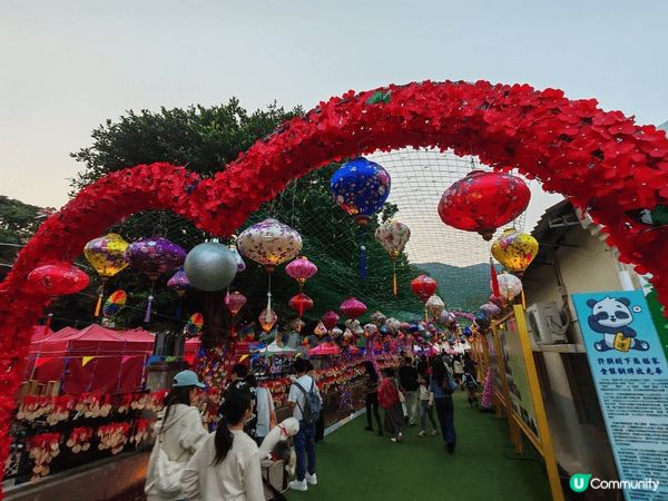 丙午馬年大年初三到了大埔林村許願樹，人頭湧湧，好有節日氣氛。...