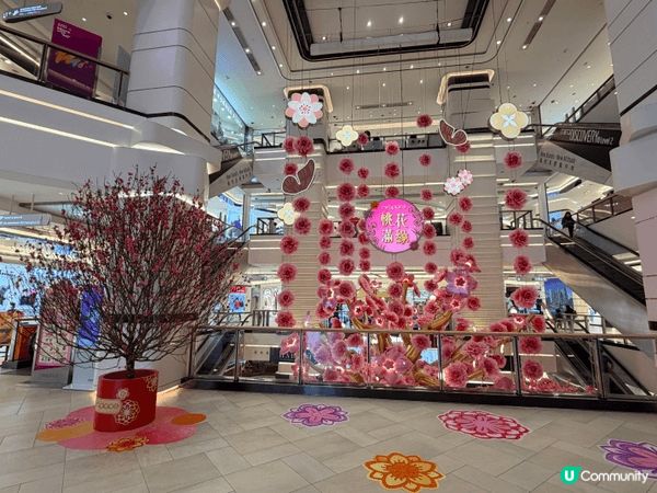 mira place 嘅桃花場景非常之有過年氣氛呀！