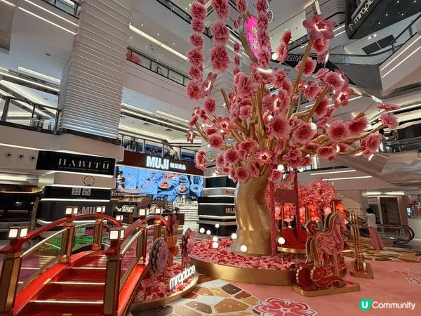 mira place 嘅桃花場景非常之有過年氣氛呀！