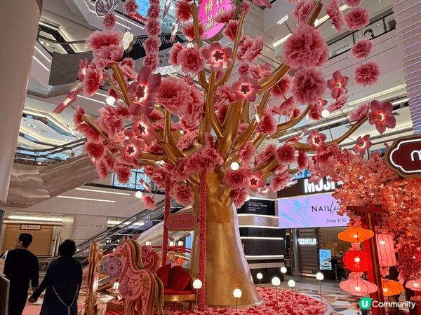 mira place 嘅桃花場景非常之有過年氣氛呀！