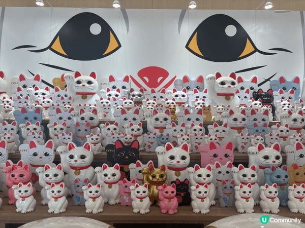 新年逛商場時發現有大量野生的招財貓出沒！很有意頭而且好可愛！...
