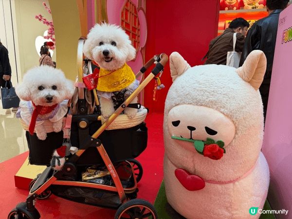 馬年去咗APM打卡，雖然同唔到馬影相，但係搵到草泥馬代替，而...