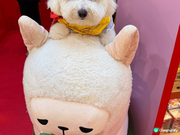 馬年去咗APM打卡，雖然同唔到馬影相，但係搵到草泥馬代替，而...