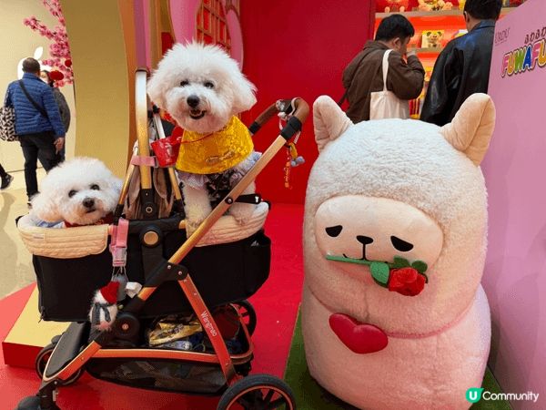 馬年去咗APM打卡，雖然同唔到馬影相，但係搵到草泥馬代替，而...