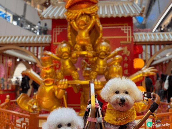 馬年去咗APM打卡，雖然同唔到馬影相，但係搵到草泥馬代替，而...