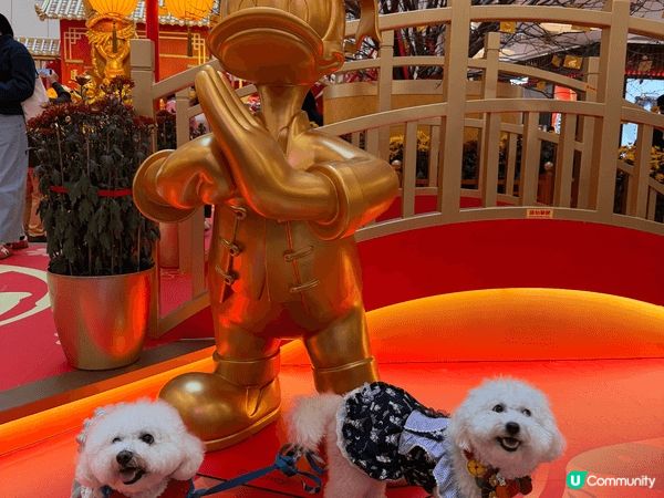 馬年去咗APM打卡，雖然同唔到馬影相，但係搵到草泥馬代替，而...