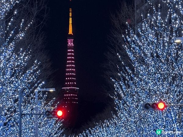 東京鐵塔夜景和近郊的大熱景點，打卡必去！