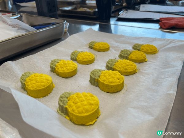 參加咗貓貓鳳梨酥烘焙課程超好玩，食材係用貓貓食得嘅雞肉同天然...