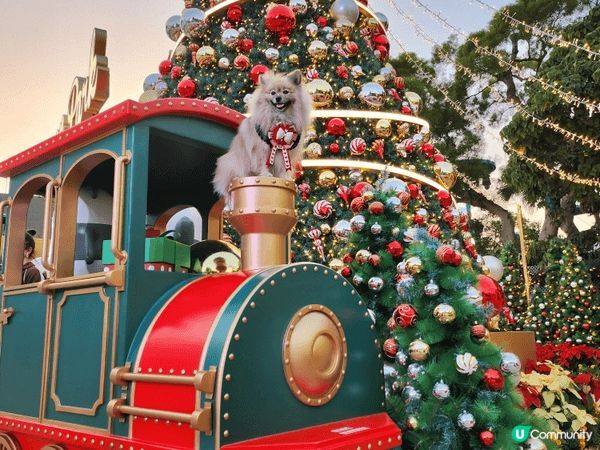 雖然海洋公園早幾年開始可以比狗狗入園，但係可以去嘅地方唔多，...