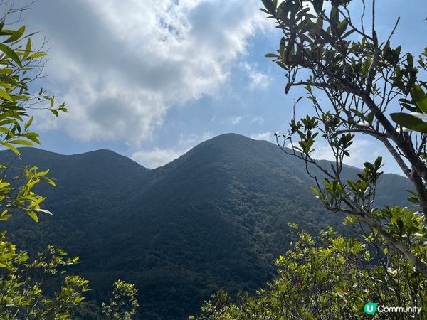 大潭水塘(紫羅蘭山徑）