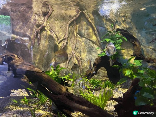 記得去玩之餘，都要記得要保護我哋嘅大自然，唔係嘅話我哋嘅後代...