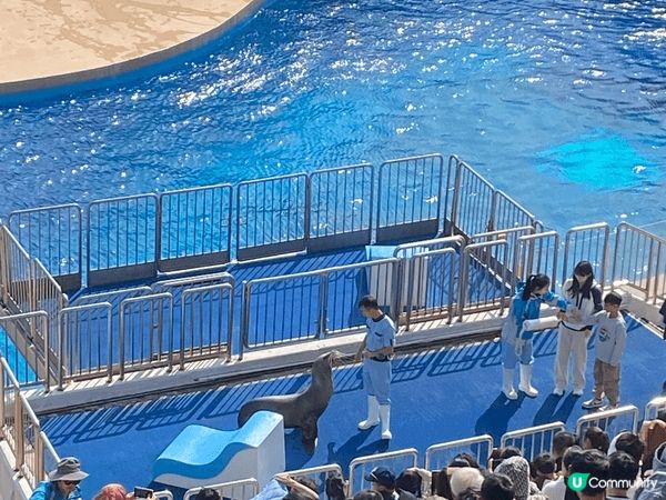 記得去玩之餘，都要記得要保護我哋嘅大自然，唔係嘅話我哋嘅後代...