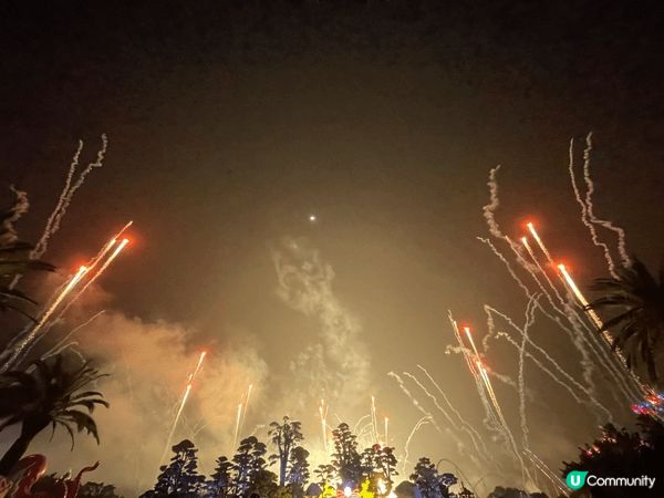 珠海長隆的海洋王國，又大又多機動遊戲，又有5D劇場，夜晚仲有...