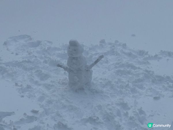聖誕去左溫哥華，比香港非常有feel，上左山頂玩雪，外國每一...