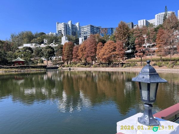 中大未圓湖紅葉，超靚。中大合一亭天人合一，超爽。還可以享受眾...