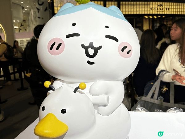 呢期最hit嘅打卡熱點緊係唔少得moko 嘅Chiikawa...