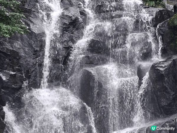 野生動物園，可愛熊仔飲品，瀑布美景好壯觀，日本之旅好開心。