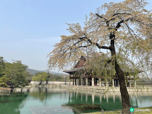 對於愛甜點、迷韓劇的女孩來說，韓國簡直是夢幻目的地！街頭網紅...