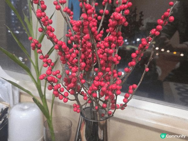 日本最強料理餐 。超好味，回味無窮。仲有靚花分享。