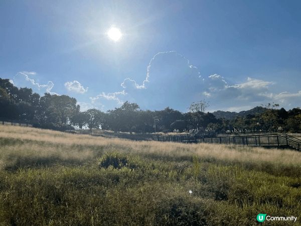 走進中山古香林公園，彷彿進入了一個詩意的世外桃源。這裡有百年...