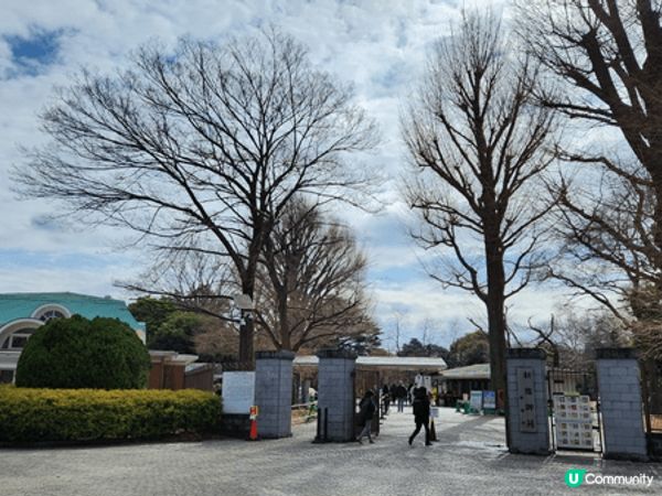 最近限時的啟德花車打卡點，以及唔少得日本的花打卡聖地，都唔可...