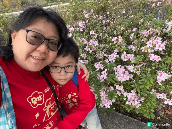 帶著仔仔在香港四圍走，2個主題公園、各個商場、多個室內遊樂場...