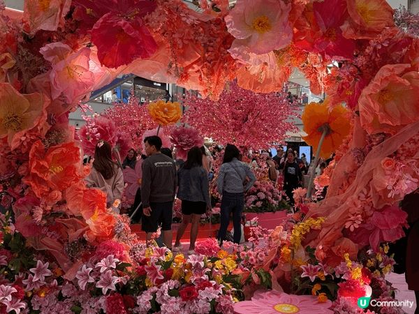 沙田新城市廣場有超靚嘅賀年打卡裝置