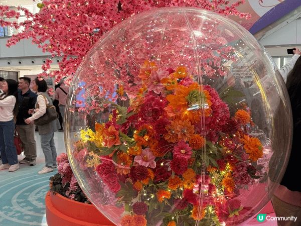 沙田新城市廣場有超靚嘅賀年打卡裝置