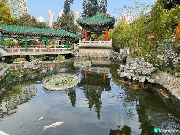 新年去黃大仙行個大運，順手幫屋企人攝太歲，人流比往年多幾倍！...