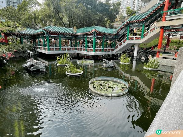 新年去黃大仙行個大運，順手幫屋企人攝太歲，人流比往年多幾倍！...