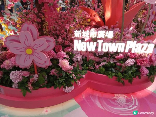 新城市廣場以四時之花為靈感打造【花開結緣・風生水起】，商場1...