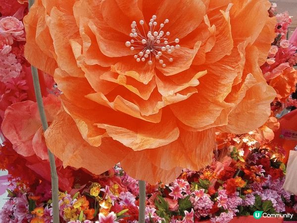 新城市廣場以四時之花為靈感打造【花開結緣・風生水起】，商場1...