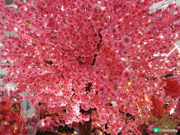 新城市廣場以四時之花為靈感打造【花開結緣・風生水起】，商場1...