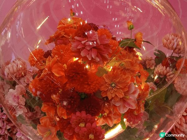 新城市廣場以四時之花為靈感打造【花開結緣・風生水起】，商場1...