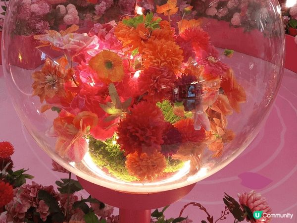 新城市廣場以四時之花為靈感打造【花開結緣・風生水起】，商場1...