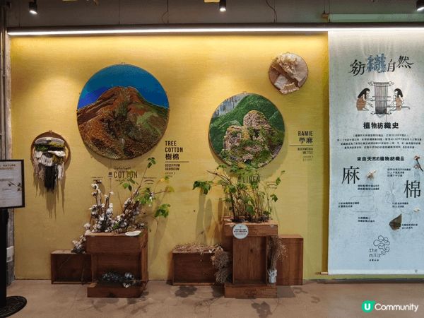 荃灣南豐紗廠 The Mills 是近年文化藝術新地標，而且...