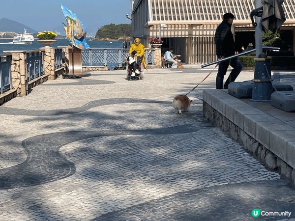 愉景灣，－個如外國度假勝地，近距離可步行至沙灘，環境優美。周...